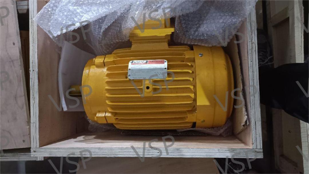 China NOV(VARCO) MOTOR OF TDS 11SA 120453 Manufacturer and Supplier VS